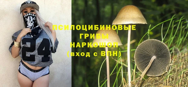 молекула духа Алексин
