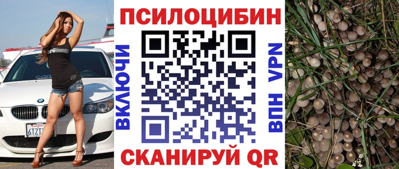 Псилоцибиновые грибы Magic Shrooms Купить Кулебаки